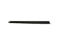 Ford BK3Z-6120938-AB Side Molding, Front Passenger Side Ford BK3Z-6120938-AB Side Molding, Front Passenger Side