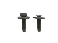 Ford -W505424-S439 Hinge Bolt, Luxurious Chrome, Front