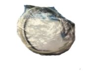 Ford F4UZ-19C827-A Vacuum Hose, Front