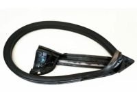 Ford 4R3Z-6320709-AA Weatherstrip Assembly - Door Opening, Driver Side Ford 4R3Z-6320709-AA Weatherstrip Assembly - Door Opening, Driver Side