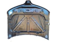 Ford DA5Z-16612-A Hood Ford DA5Z-16612-A Hood
