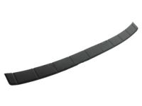 Ford HC3Z-17C829-AB Step Pad, Front