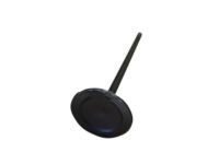 Ford 7T4Z-6507-B Intake Valve Ford 7T4Z-6507-B Intake Valve
