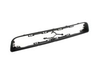 Ford DR3Z-8419-BA Molding, Front