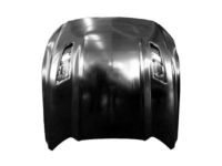 Ford FR3Z-16612-B Hood Assembly Ford FR3Z-16612-B Hood Assembly