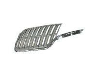 Ford AE9Z-8200-B Grille, Driver Side Ford AE9Z-8200-B Grille, Driver Side