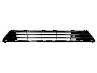 Ford HS7Z-17B968-BA Lower Grille, Black, Front