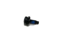 Ford -W702253-S450B Center Track Screw Ford -W702253-S450B Center Track Screw