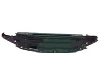 Ford HC3Z-19E525-E Sight Shield, Front Ford HC3Z-19E525-E Sight Shield, Front