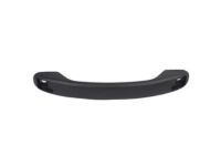 Ford F2UZ-1522666-AB Pull Handle, Black, Center