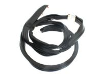 Ford 9L3Z-1651222-A Weatherstrip, Passenger Side