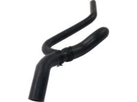 Ford 5R3Z-8286-AA Lower Hose Ford 5R3Z-8286-AA Lower Hose