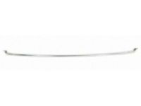 Ford HP5Z-8419-AB Lower Molding, Front Ford HP5Z-8419-AB Lower Molding, Front