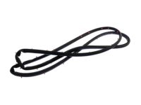 Ford DS7Z-5420531-A Weatherstrip, Driver Side Ford DS7Z-5420531-A Weatherstrip, Driver Side