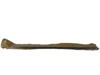 Ford 6G1Z-5425597-AA Belt Weatherstrip, Rear Outer Driver Side