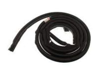 Ford 7L3Z-1520709-A Weatherstrip On Body, Front Driver Side Ford 7L3Z-1520709-A Weatherstrip On Body, Front Driver Side
