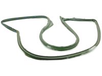Ford 1L2Z-7820530-AA Weatherstrip, Passenger Side