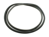 Ford 6L1Z-78253A10-A Door Weatherstrip Ford 6L1Z-78253A10-A Door Weatherstrip