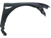 Ford DG1Z-16005-B Fender, Front Passenger Side