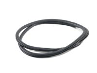 Ford GD9Z-5420708-A Weatherstrip On Body, Front Inner Ford GD9Z-5420708-A Weatherstrip On Body, Front Inner