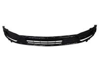 Ford FA1Z-17B968-AA Lower Grille, Front