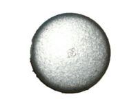 Ford E9SZ-6266-A Bearing Ford E9SZ-6266-A Bearing