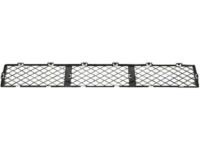 Ford 8S4Z-17K945-AA Lower Grille, Front Ford 8S4Z-17K945-AA Lower Grille, Front