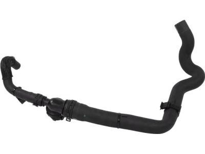 GN1Z-8286-T Ford Lower Hose Product Photo 3 of 3