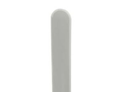 Ford F-250 Super Duty Door Moldings - 5C3Z-2820878-AAJ