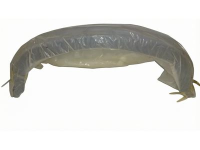 2F1Z-17D957-BCCP Ford Bumper Assembly - Front Product Photo 3 of 4