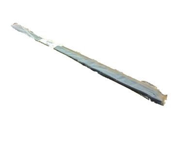 Ford YL3Z-1621457-AA Belt Weatherstrip, Driver Side