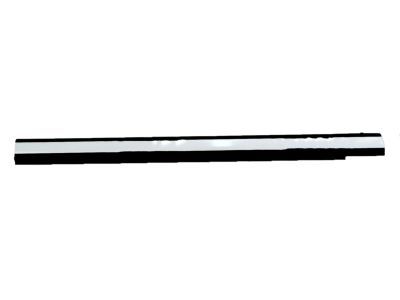 Ford 8L1Z-7821452-AA Glass Weatherstrip, Passenger Side