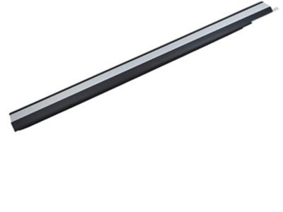 Ford 8L1Z-7821452-AA Glass Weatherstrip, Passenger Side