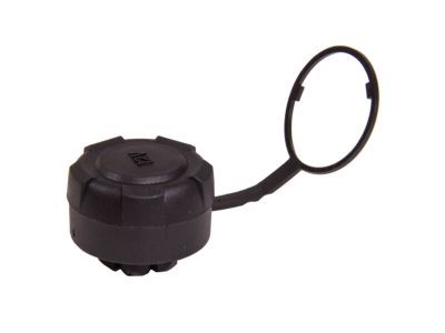 Ford BC3Z-19A487-AA Cap