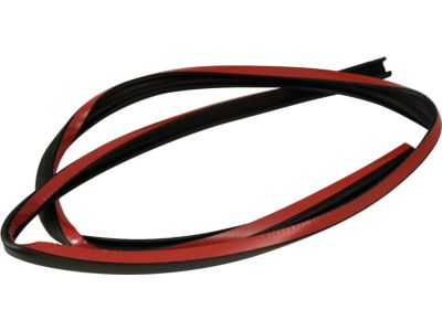 Ford 2T1Z-1551823-C Weatherstrip Assembly - Door Opening, Driver Side