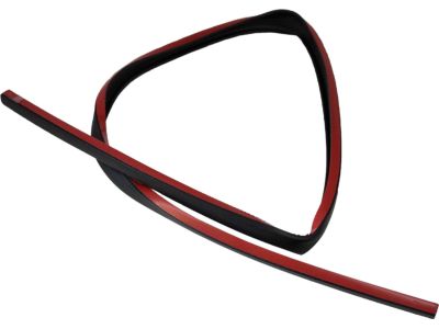 Ford 2T1Z-1551823-C Weatherstrip Assembly - Door Opening, Driver Side