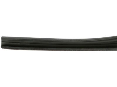Ford 2T1Z-1551823-C Weatherstrip Assembly - Door Opening, Driver Side