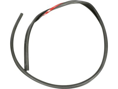 Ford 2T1Z-1551823-C Weatherstrip Assembly - Door Opening, Driver Side