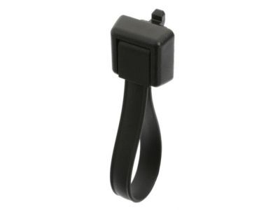 Lincoln 5L7Z-78434A14-AAA Pull Handle