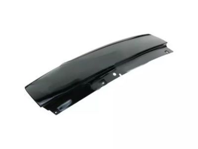 Ford 2L1Z-78291A08-AA Moulding, Passenger Side