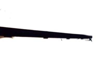 Ford FR3Z-6321452-E Belt Weatherstrip, Black, Passenger Side