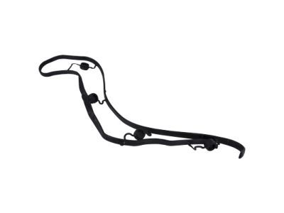 Lincoln F7LZ-6P069-AA Cover Gasket