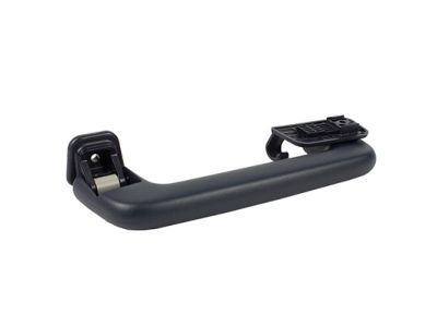 Ford DS7Z-5831406-BE Grip Handle, Passenger Side