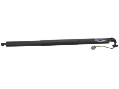 Ford CJ5Z-14B351-A Actuator Assembly, Rear Driver Side