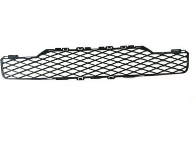 Ford 6S4Z-8200-AA Lower Grille