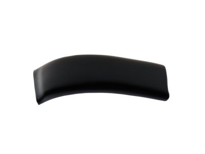 Ford F81Z-2551729-AAP Moulding - Roof Side Trim          