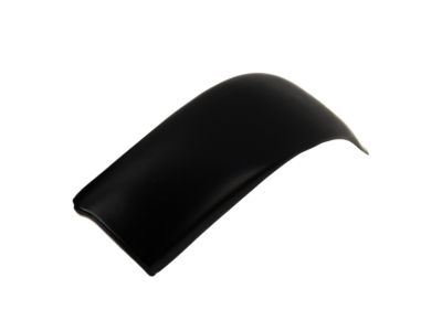 Ford F81Z-2551729-AAP Moulding - Roof Side Trim          