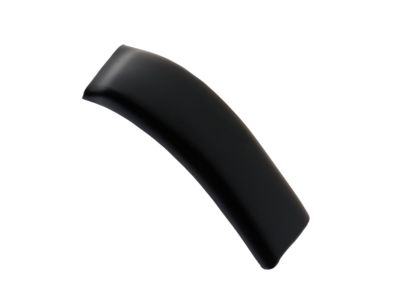 Ford F81Z-2551729-AAP Moulding - Roof Side Trim          