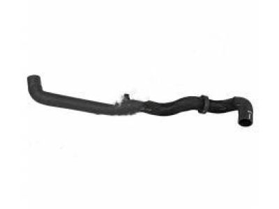 Ford GN1Z-8286-Q Hose - Radiator