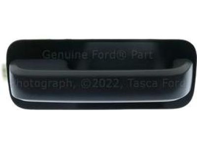 Ford HC3Z-2522404-CCPTM Handle Assembly - Door - Outer, Passenger Side